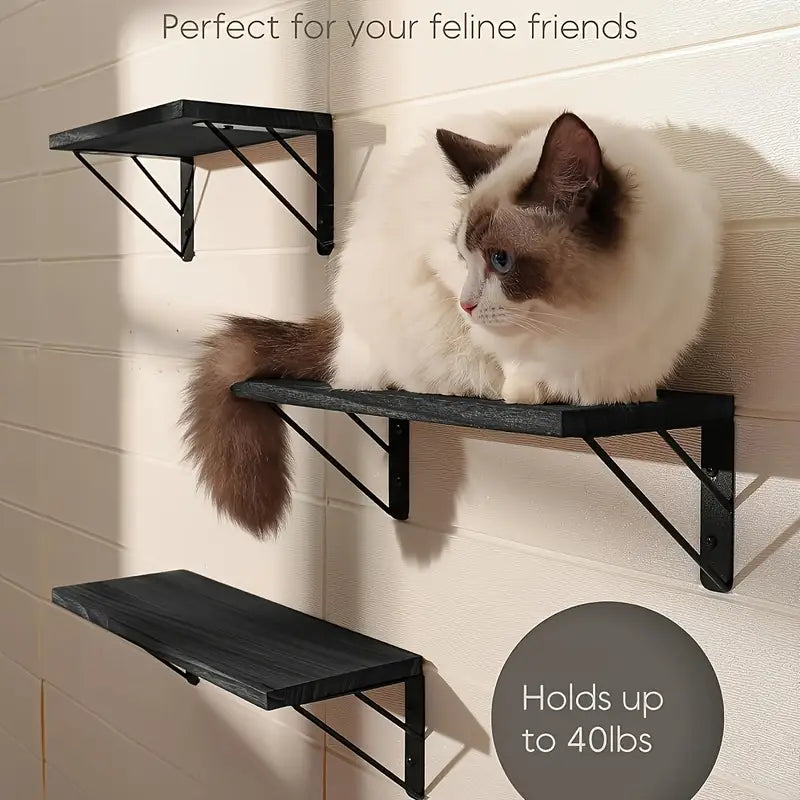 Rustic Wood Shelves