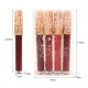 4pcs/set Velvet Matte Lip Gloss Moisturizing Long Lasting Lip Balm Set Dark Tint Waterproof Lip Gloss