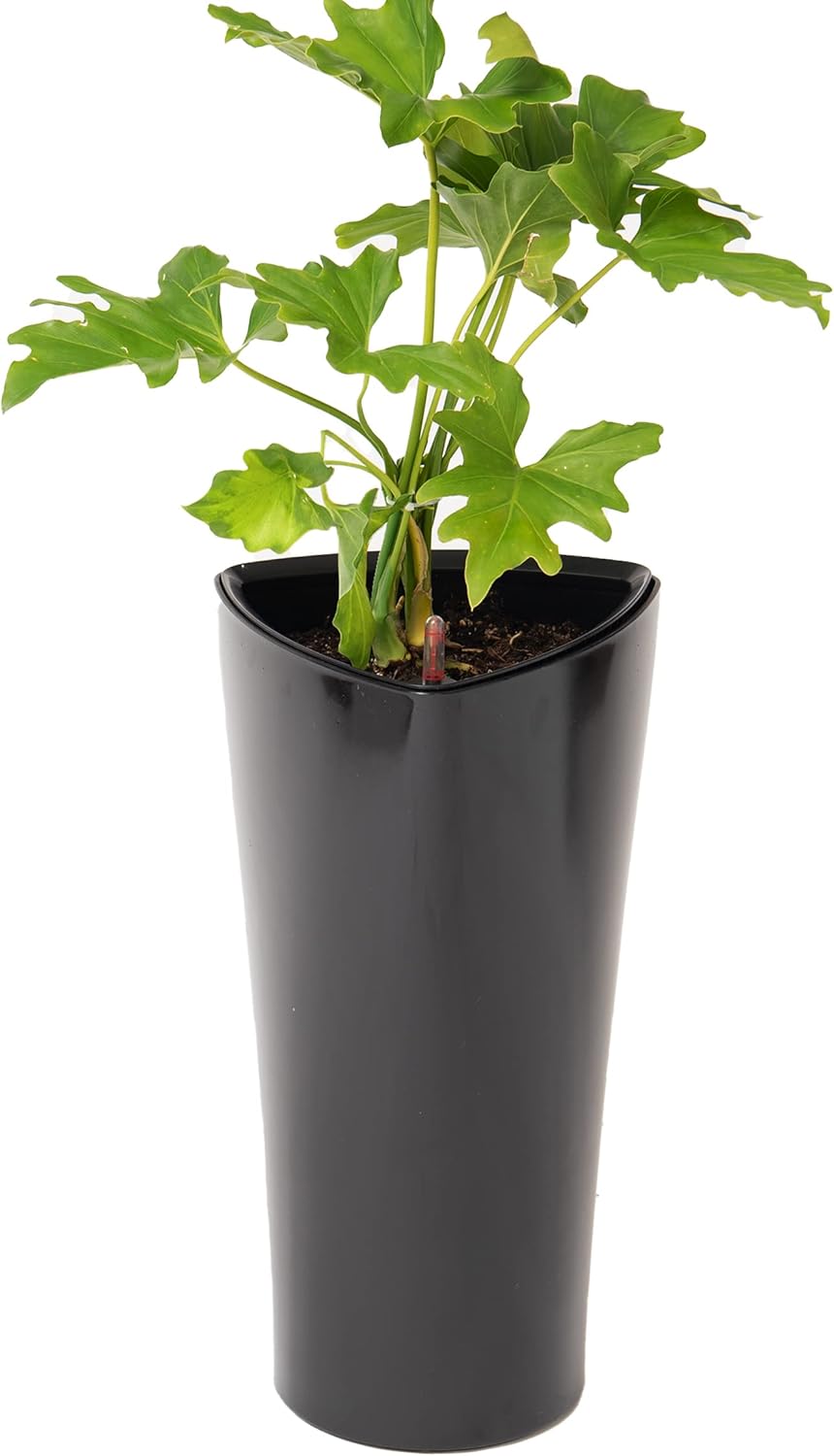X-Brand 22.4" Black Plastic Triangle Planter